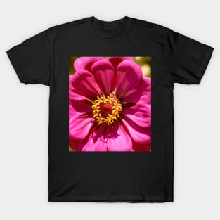 Pink Zinnia T-Shirt